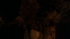 the100312_0000.jpg