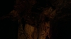 the100312_0001.jpg