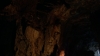 the100312_0002.jpg