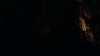 the100312_0281.jpg