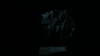 the100312_0285.jpg