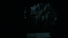 the100312_0293.jpg