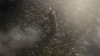 the100312_0878.jpg