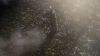 the100312_0879.jpg