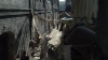 the100312_1425.jpg