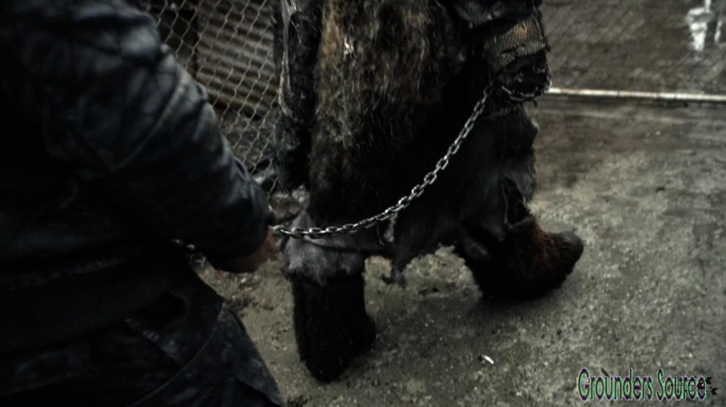 The 100 Season Three Episode Thirteen Join or Die-3181
