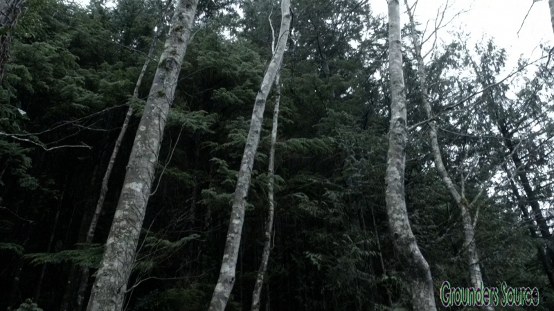 The Red Sky at Morning Season Three Episode Fourteen -2476
