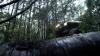 the100_313_0600.jpg