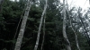 the100_313_0714.jpg