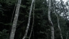 the100_313_0715.jpg