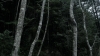 the100_313_0716.jpg