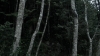 the100_313_0717.jpg