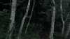 the100_313_0718.jpg