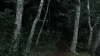 the100_313_0719.jpg