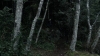 the100_313_0720.jpg