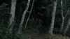 the100_313_0721.jpg