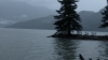 the100_313_0736.jpg