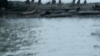 the100_313_0746.jpg