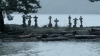 the100_313_0747.jpg
