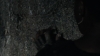the100_313_0995.jpg