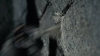 the100_313_1080.jpg