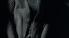 the100_313_1147.jpg