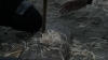the100_313_1175.jpg