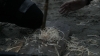 the100_313_1176.jpg