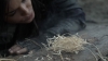 the100_313_1183.jpg