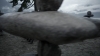 the100_313_1187.jpg