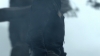 the100_313_1280.jpg