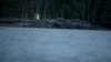 the100_313_1292.jpg