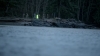 the100_313_1293.jpg