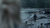 the100_313_1345.jpg