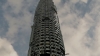 the100_313_1355.jpg