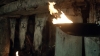 the100_313_1554.jpg