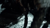 the100_313_1634.jpg