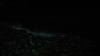 the100_313_1663.jpg