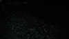 the100_313_1664.jpg