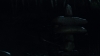 the100_313_1884.jpg