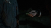 the100_313_1976.jpg