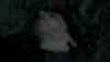 the100_313_2044.jpg