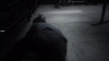 the100_313_2392.jpg