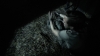 the100_313_2501.jpg