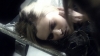 the100_313_2730.jpg