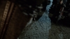 the100_313_2900.jpg