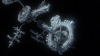 the100_313_2946.jpg