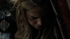 the100_313_2960.jpg