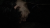 the100_313_2976.jpg