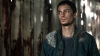 the100_313_3134.jpg